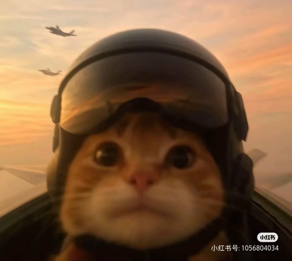 Camera_1040g3k031h9mko3p4o1g5nsudbb09fkmjt33b78