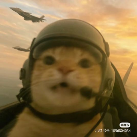 Camera_1040g3k031h9mko3p4o0g5nsudbb09fkm8chlun8