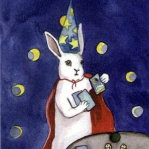 夸克 的个人资料照片