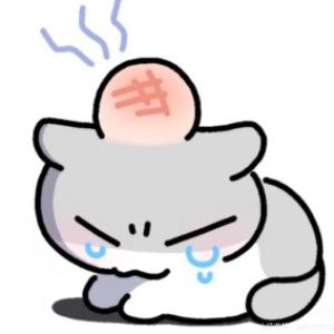 厉害厉害聪明猫 的个人资料照片